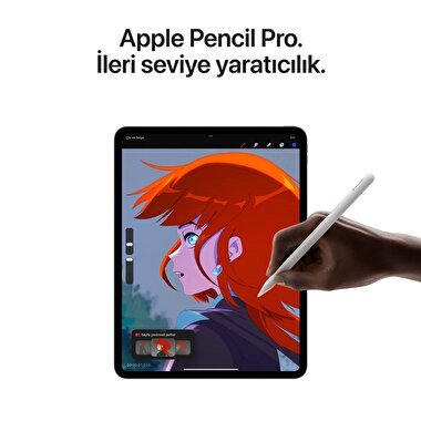Apple 11 inç iPad Pro M4 WiFi 2TB Nano-texture Cam Gümüş  MWR93TU/A